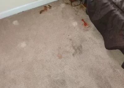 Preferred Rug Cleaning