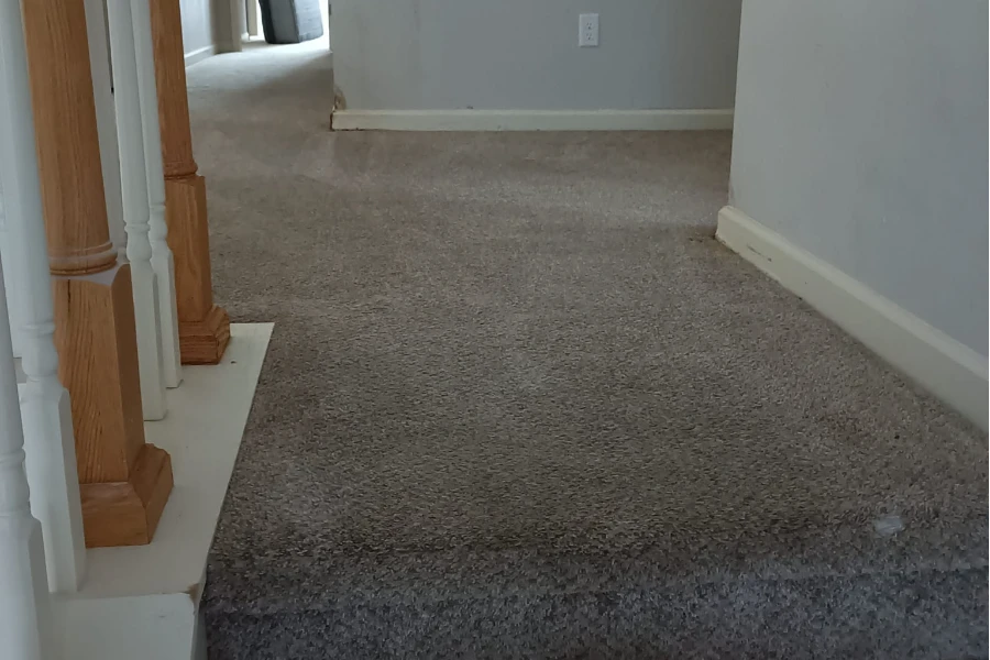 Professional Rug Cleaning