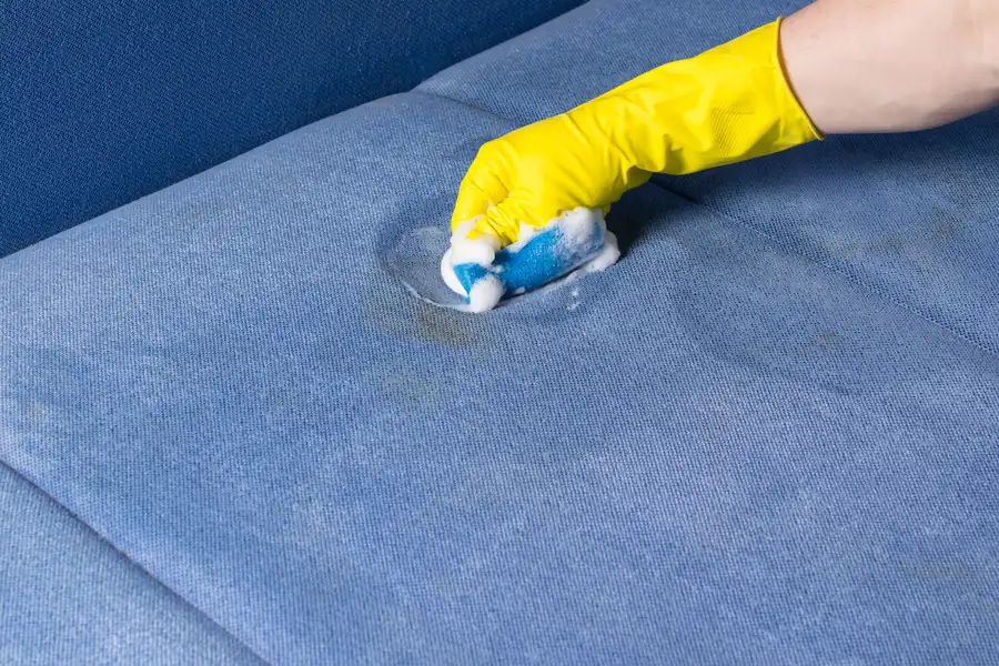 The Science Behind Stain Removal In Upholstery Cleaning in Columbus, GA